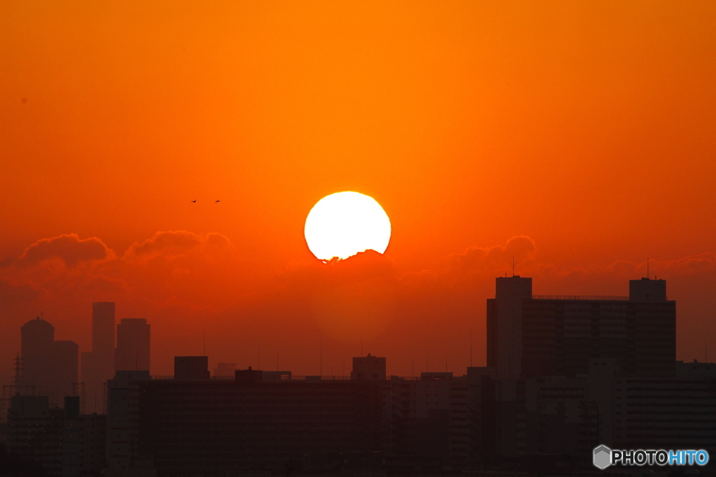 初日の出 2016 西宮大橋