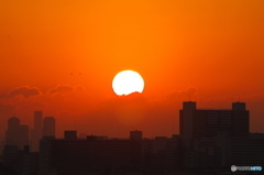 初日の出 2016 西宮大橋