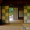 夏の桂離宮 松琴亭