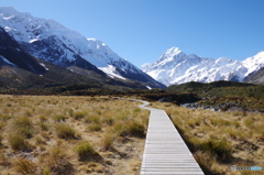 Mount Cook Spring 2015