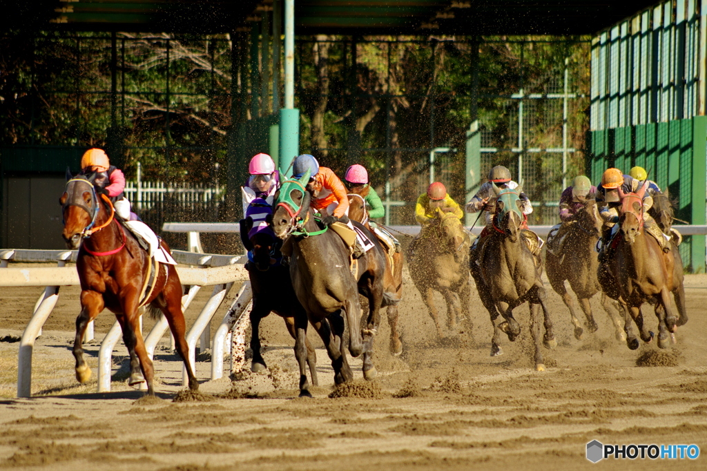 園田競馬 2015年12月29日(火)
