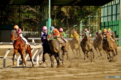 園田競馬 2015年12月29日(火)