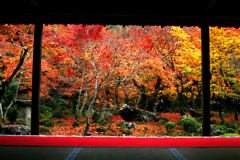 圓光寺