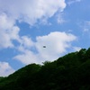 ツーリング - 奥多摩湖 鳥の影