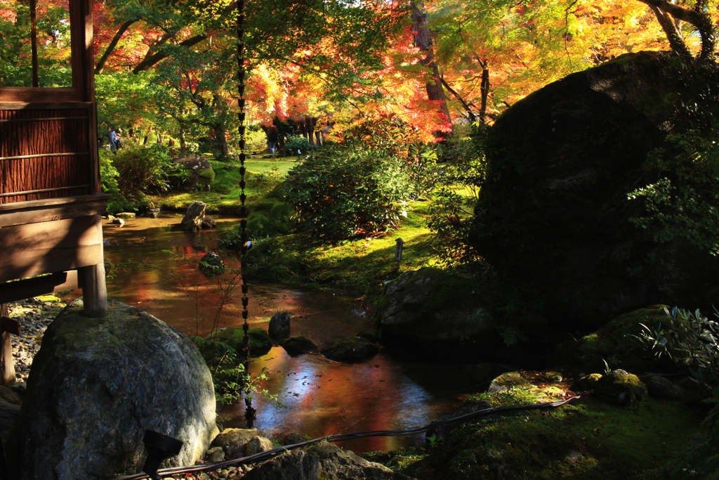 紅葉の庭