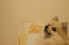 視線の先