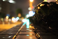帰り道