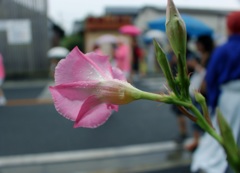 雨宿り中