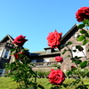 旧古河庭園