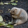 夢中です