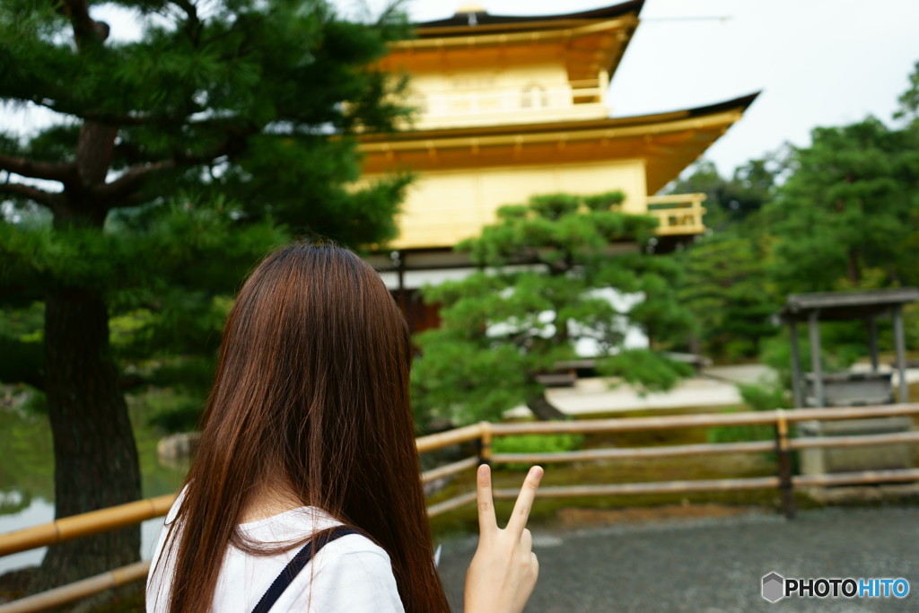 彼女と金閣寺