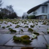 雨上がり