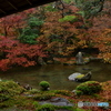 雨の庭園
