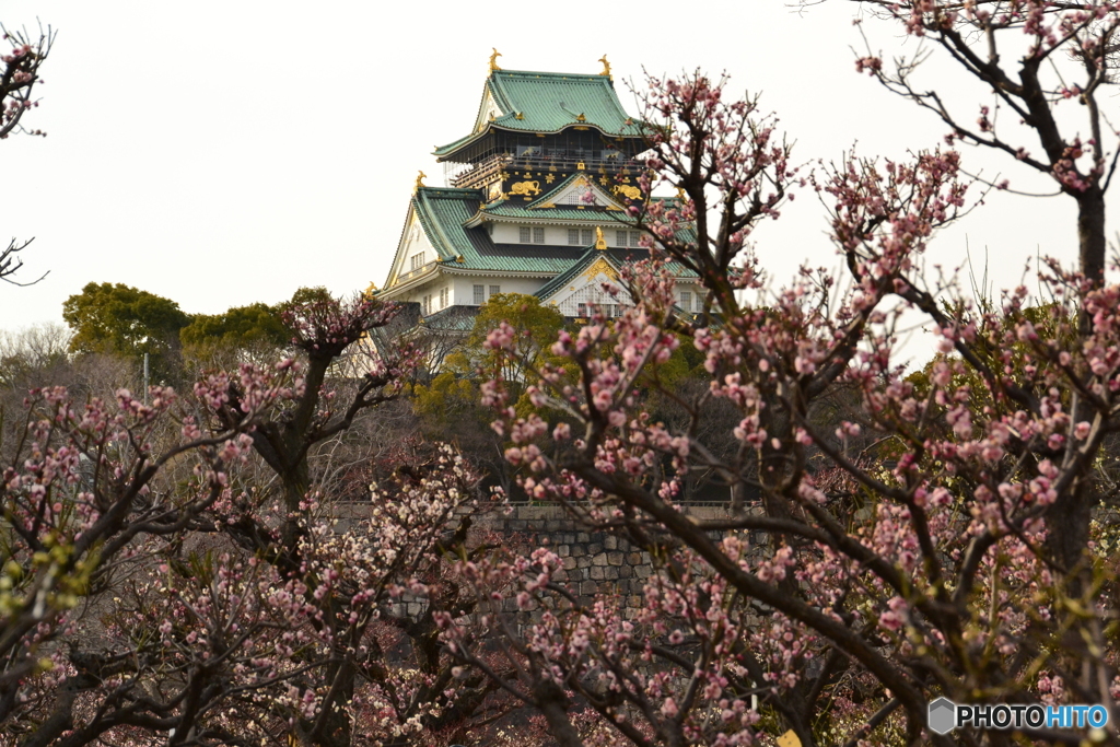 the castle of Osaka