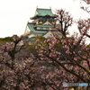 the castle of Osaka