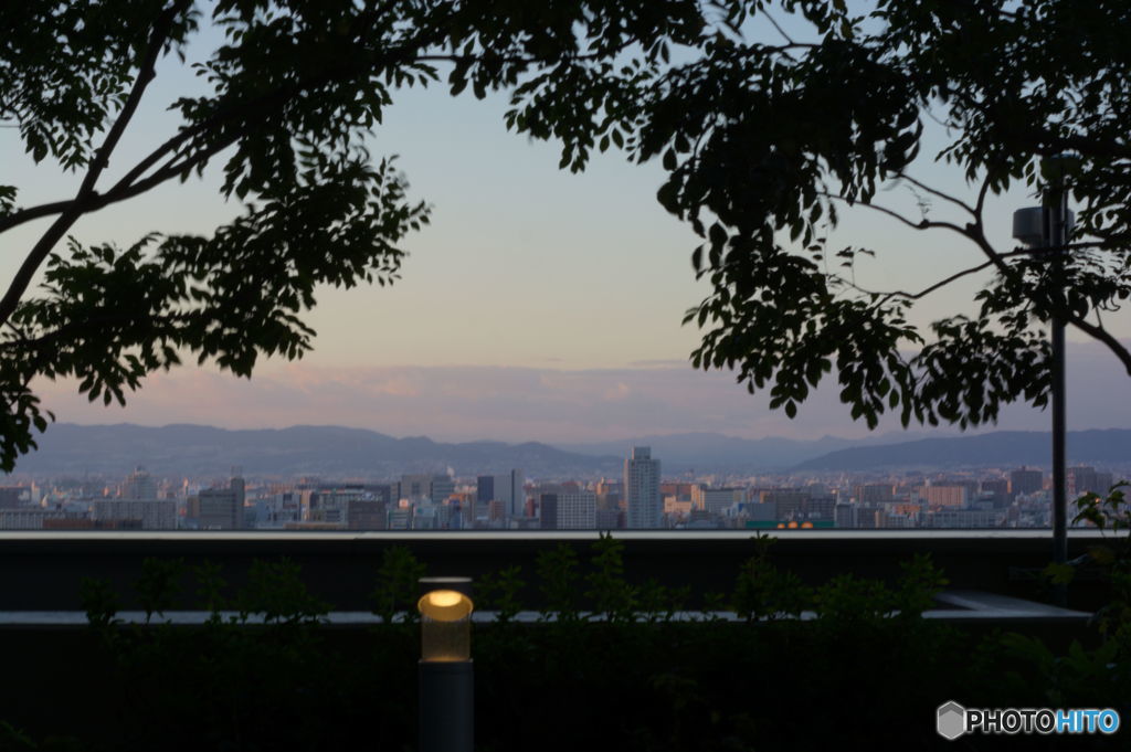 都会の木々の狭間に