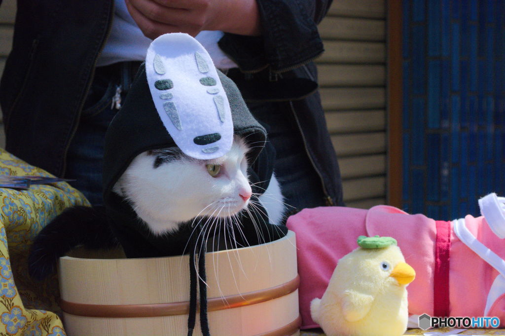 カオナシにゃん