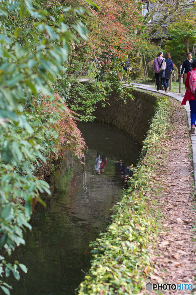 哲学の道　琵琶湖疎水