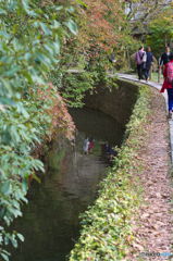 哲学の道　琵琶湖疎水