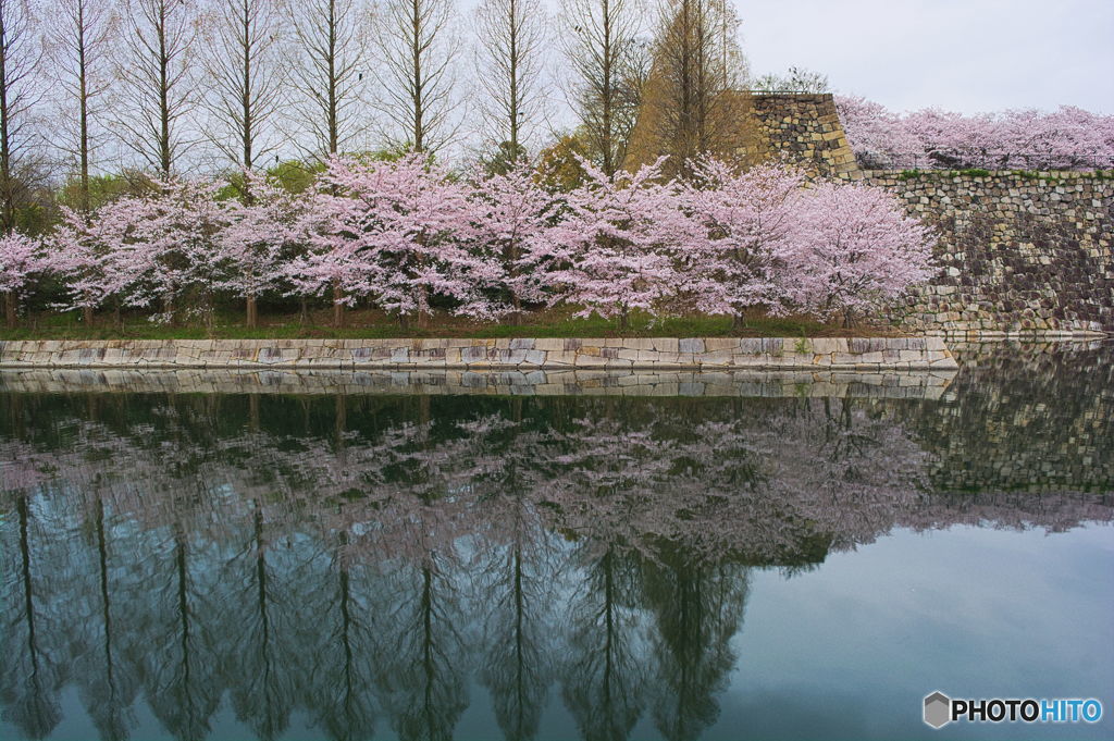 はるの水面