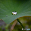 梅雨ですね