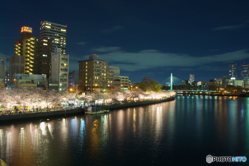 夜桜