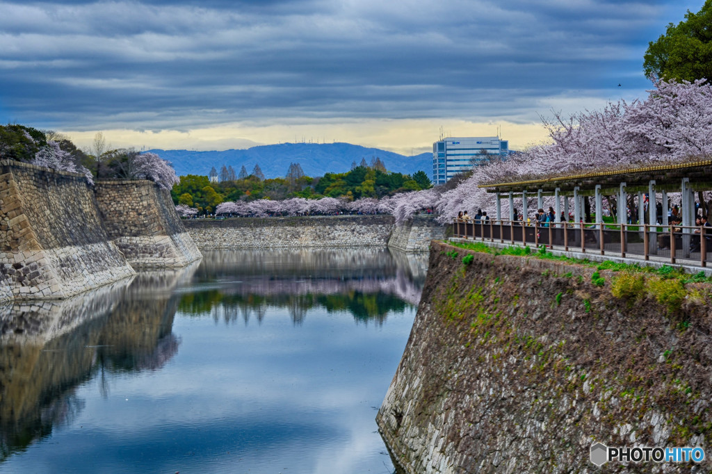 大阪城　さくら　HDR