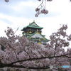 さくらのなかの大阪城