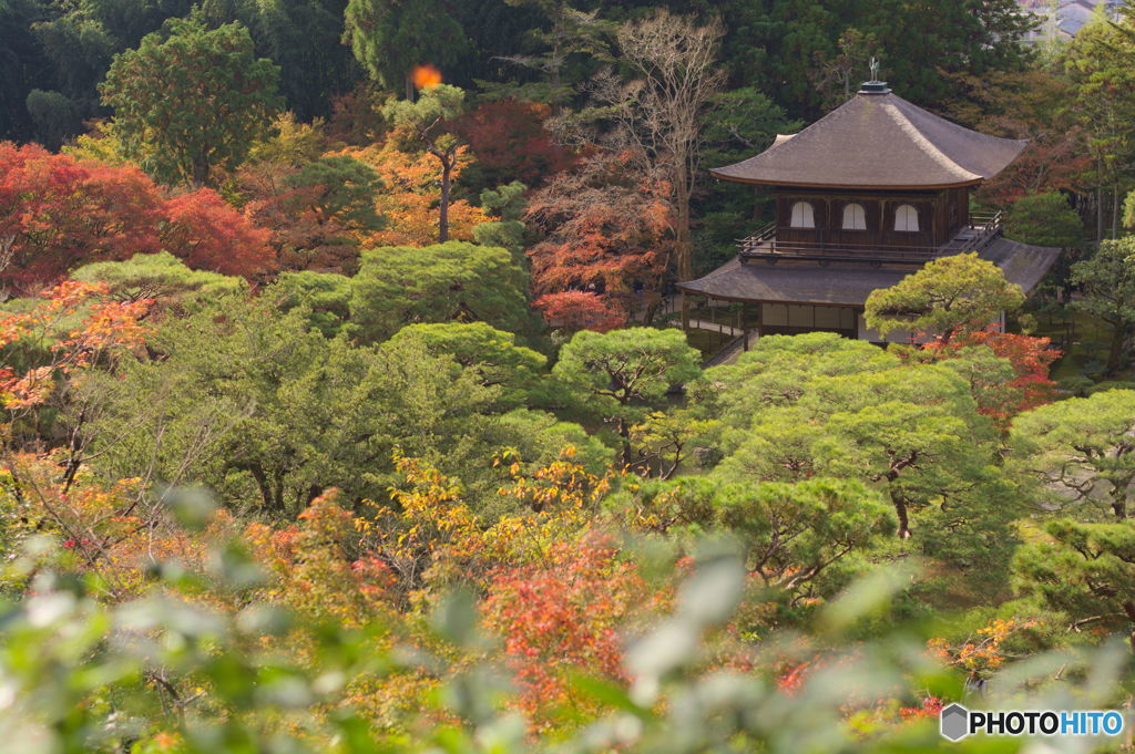 秋の中に東山慈照寺