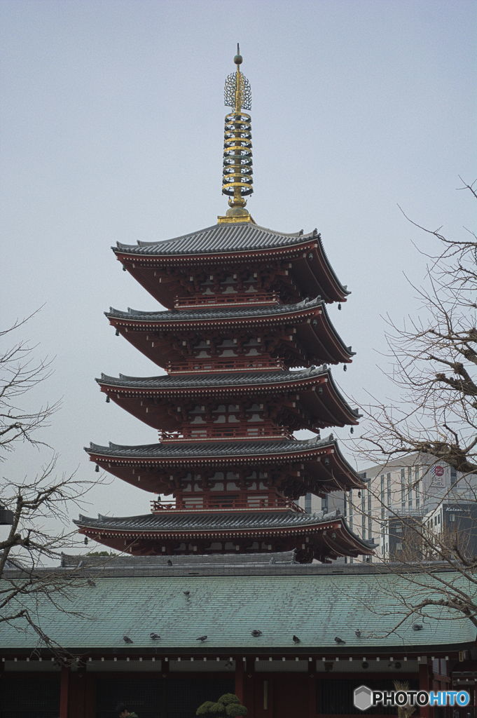 浅草寺　五重塔