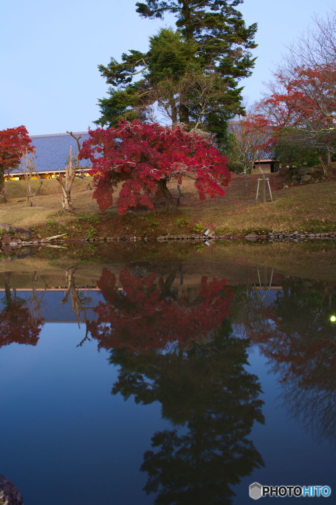 奈良公園