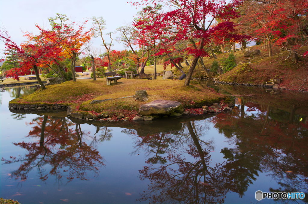 奈良公園