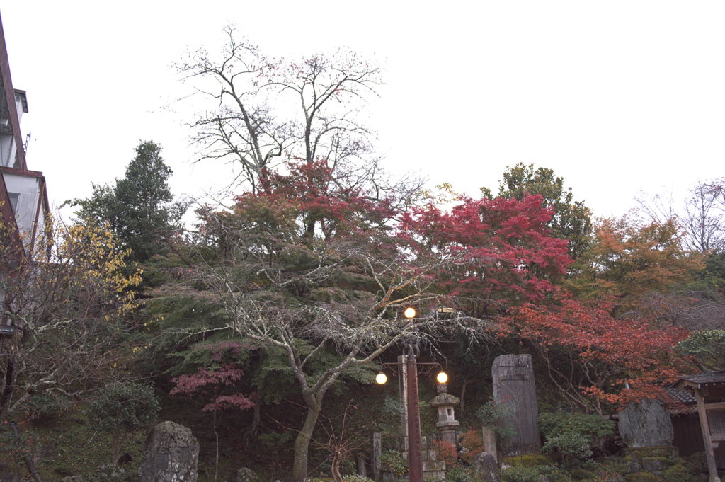 吉野山