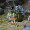 サボテン＿ハロウィン