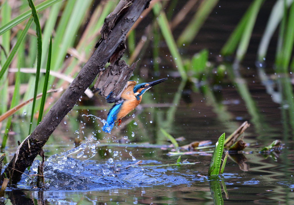 先週末のパフォーマンス