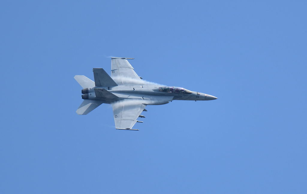 F15じゃなくてF/A-18F