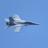 F15じゃなくてF/A-18F