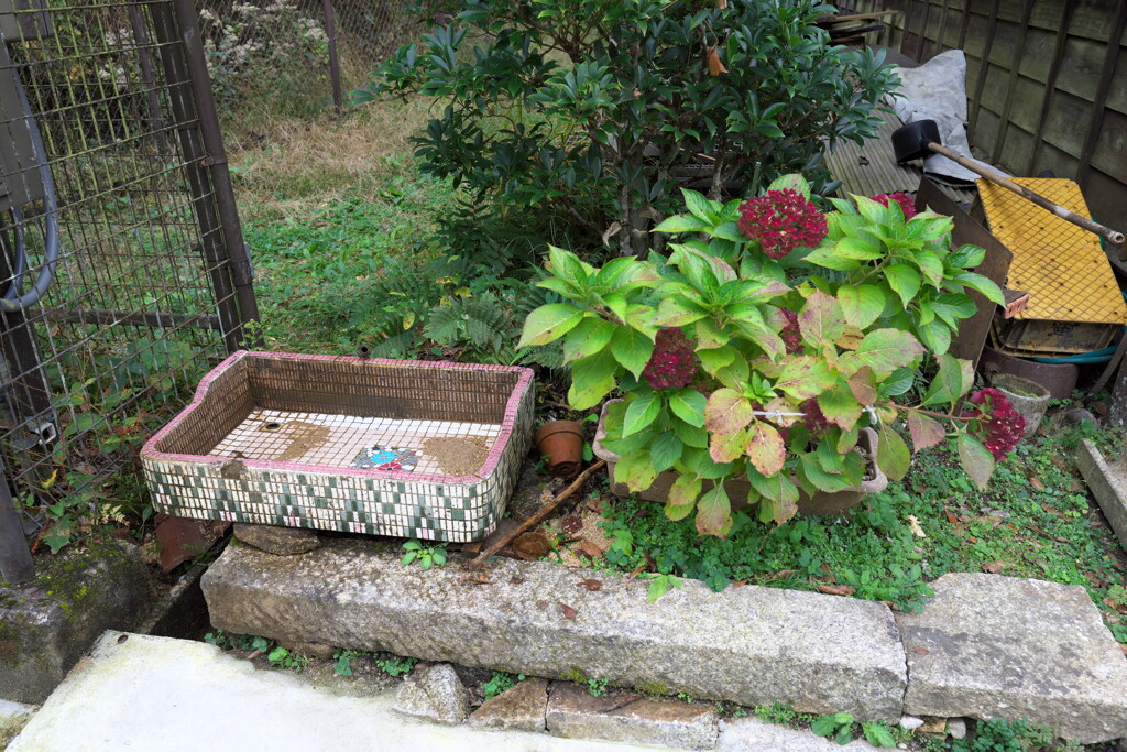 木曾路４