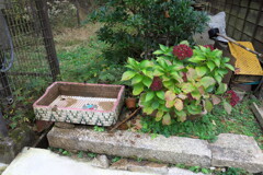 木曾路４