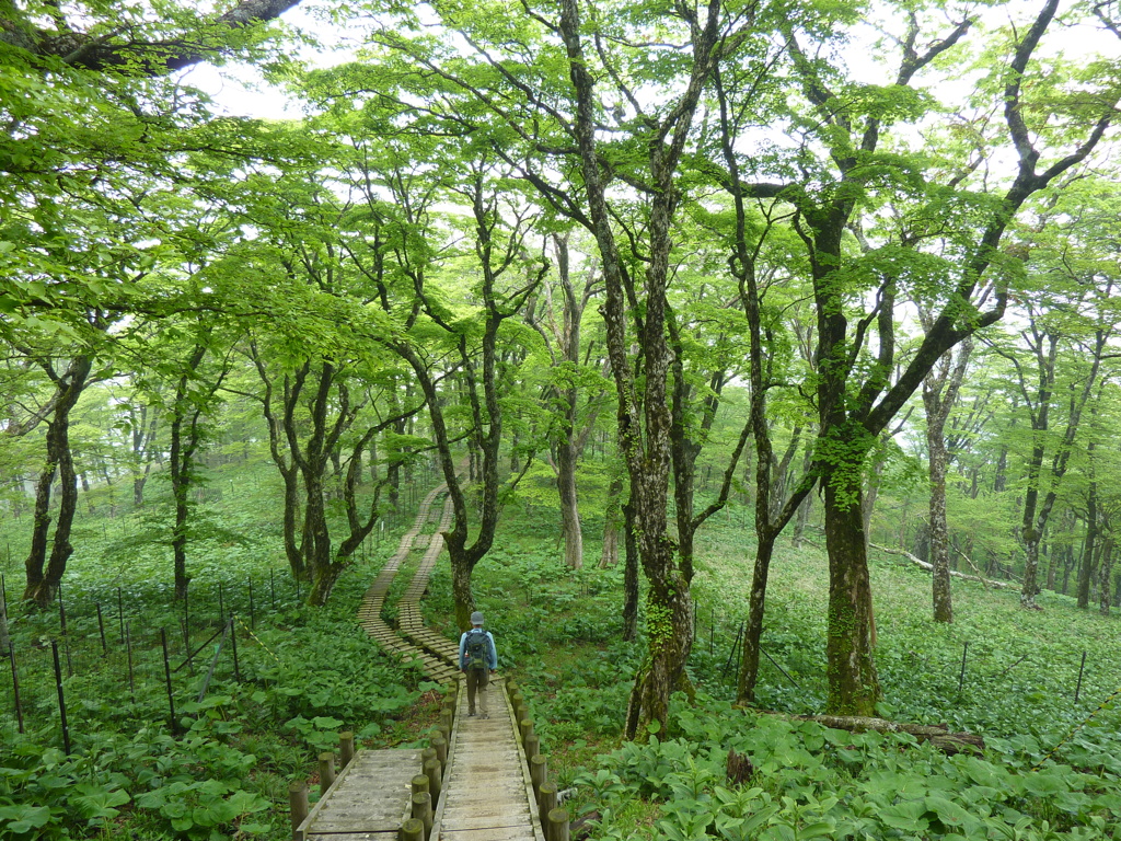 塩水橋から丹沢山