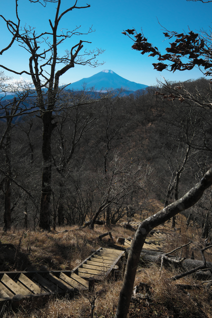 道志から加入道山、大室山へ