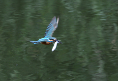 いそがし　いそがし