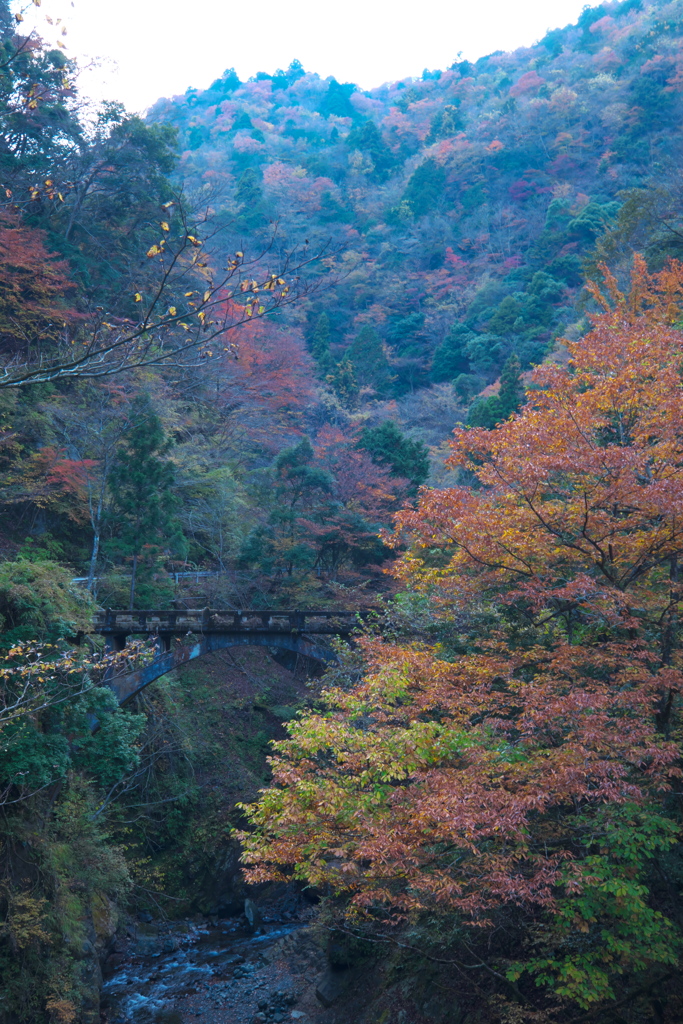 下山