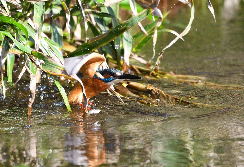 シークエンス２