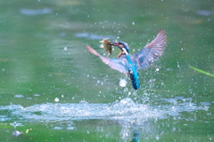 刺さった魚は