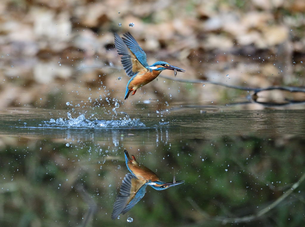 水鏡