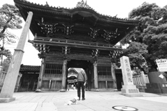 帝釈天二天門