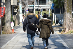 都電荒川線の旅　プラス