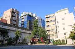 社
