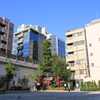 社